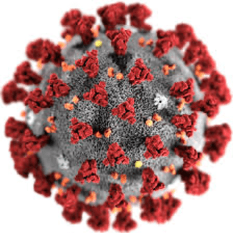 covid-19 virus